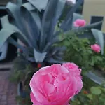 Grandma's Garden House *
