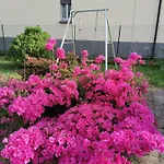 Grandma's Garden House 別荘 *