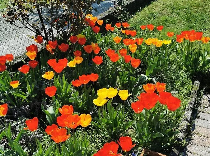 Dom wakacyjny Grandma's Garden House *