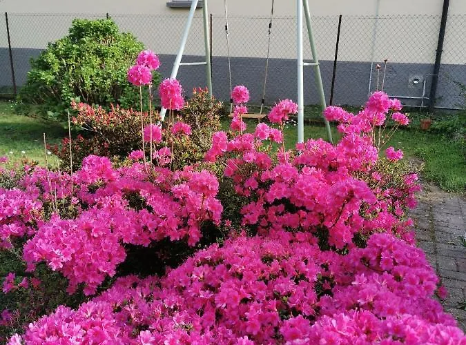 Grandma's Garden House 펜션 *