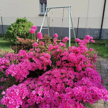 Grandma's Garden House Dom wakacyjny *